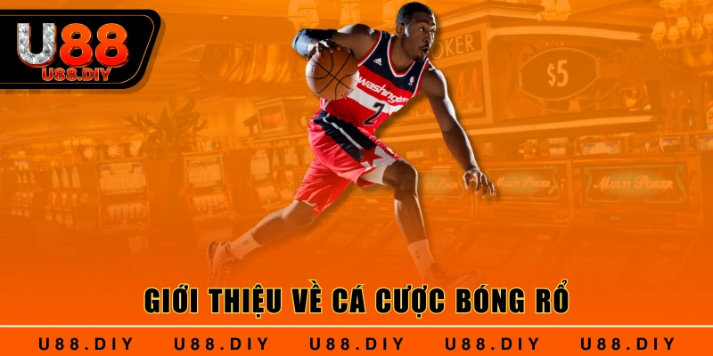 Giới thiệu về cá cược bóng rổ